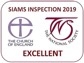 SIAMS Inspection